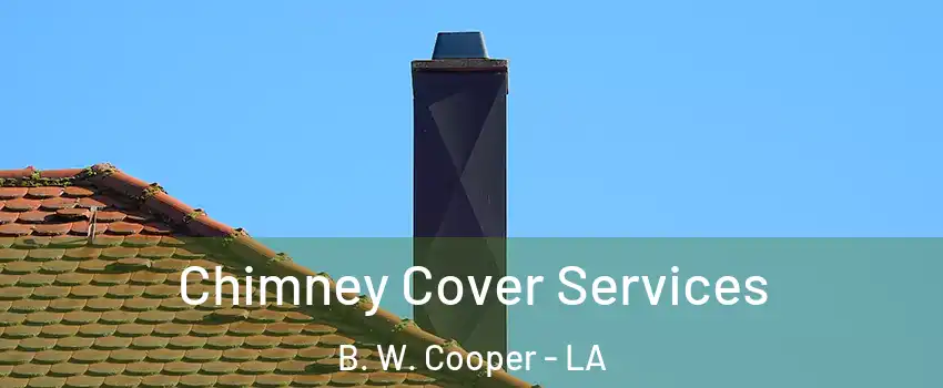 Chimney Cover Services B. W. Cooper - LA