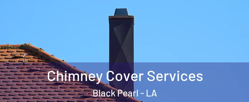 Chimney Cover Services Black Pearl - LA