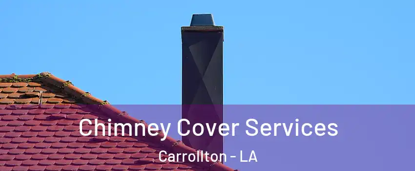 Chimney Cover Services Carrollton - LA