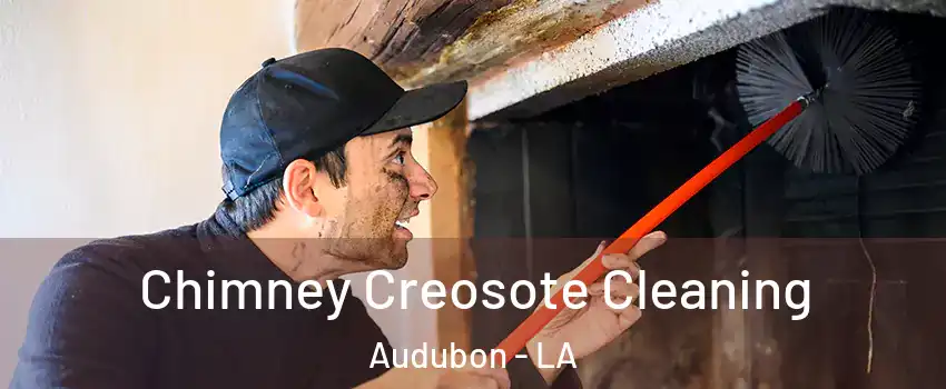 Chimney Creosote Cleaning Audubon - LA