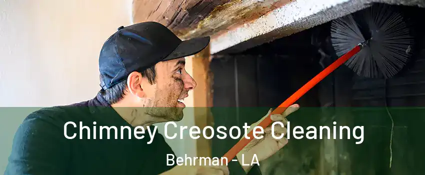 Chimney Creosote Cleaning Behrman - LA