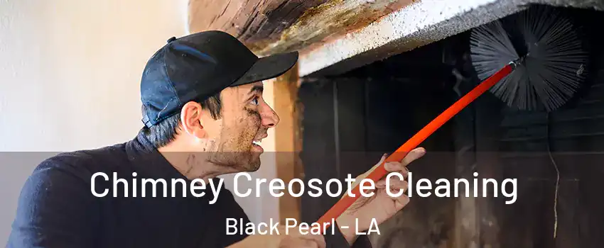 Chimney Creosote Cleaning Black Pearl - LA