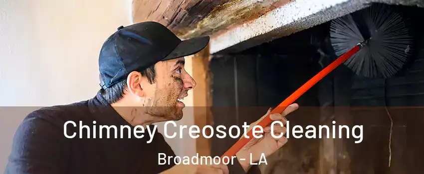 Chimney Creosote Cleaning Broadmoor - LA