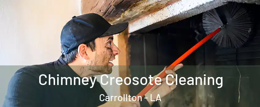 Chimney Creosote Cleaning Carrollton - LA