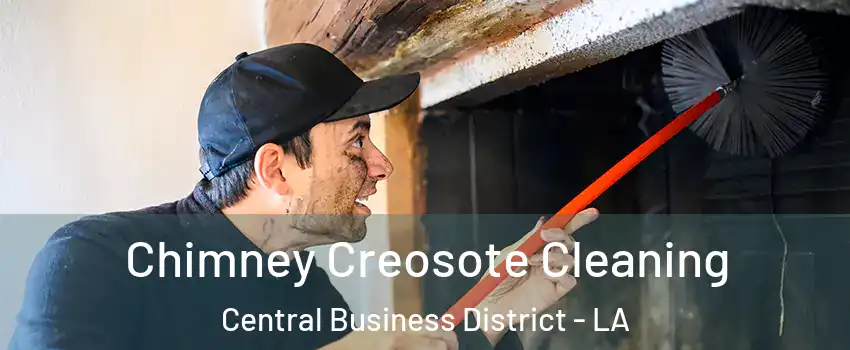 Chimney Creosote Cleaning Central Business District - LA