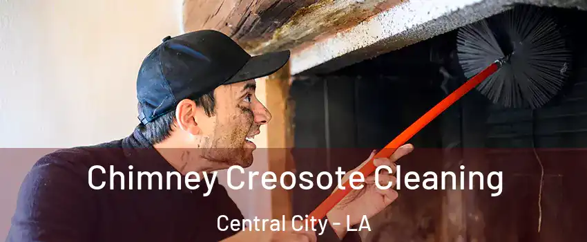 Chimney Creosote Cleaning Central City - LA