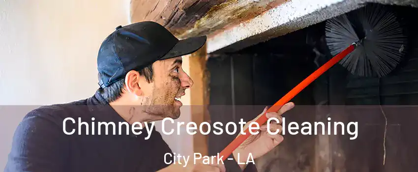 Chimney Creosote Cleaning City Park - LA