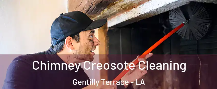 Chimney Creosote Cleaning Gentilly Terrace - LA