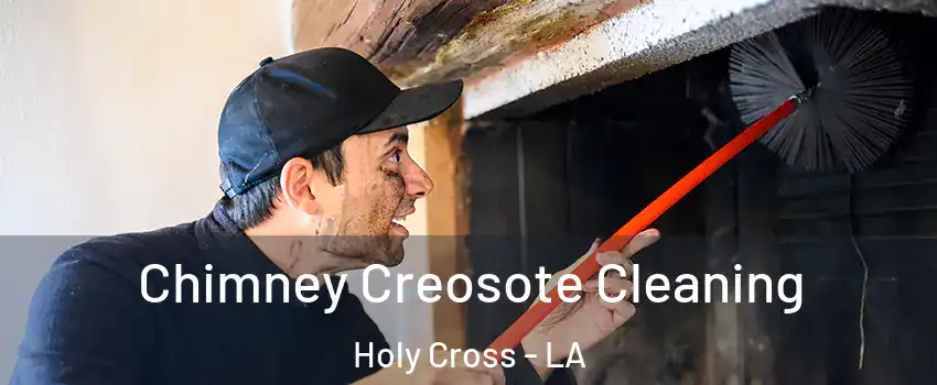 Chimney Creosote Cleaning Holy Cross - LA