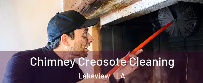 Chimney Creosote Cleaning Lakeview - LA