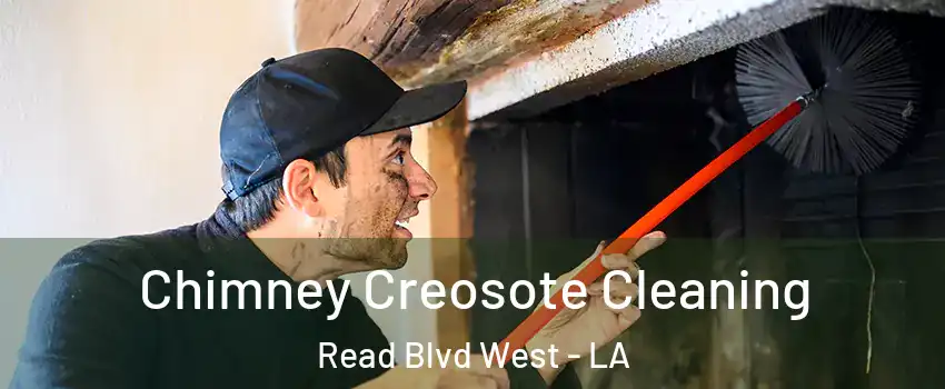 Chimney Creosote Cleaning Read Blvd West - LA