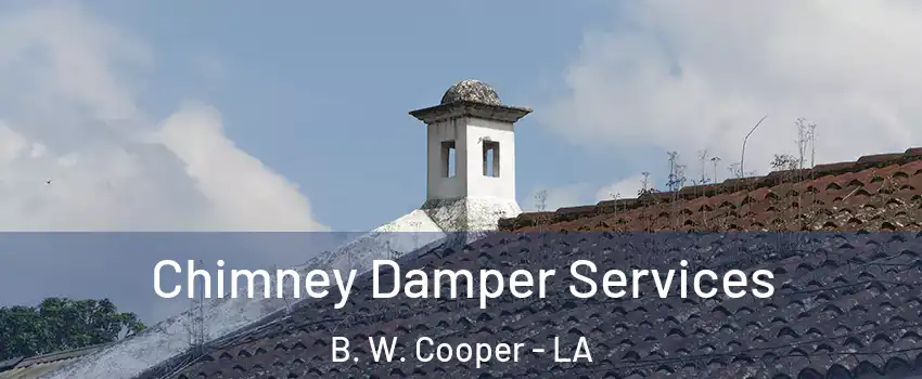 Chimney Damper Services B. W. Cooper - LA