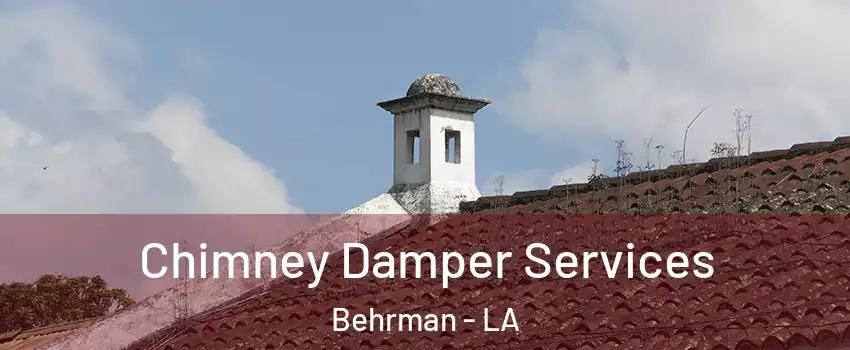 Chimney Damper Services Behrman - LA