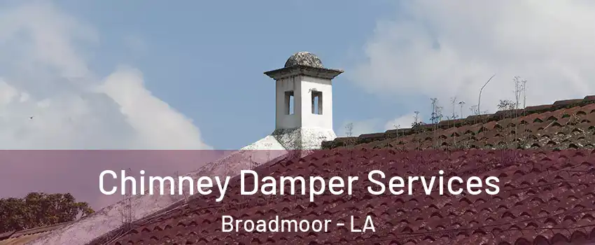 Chimney Damper Services Broadmoor - LA