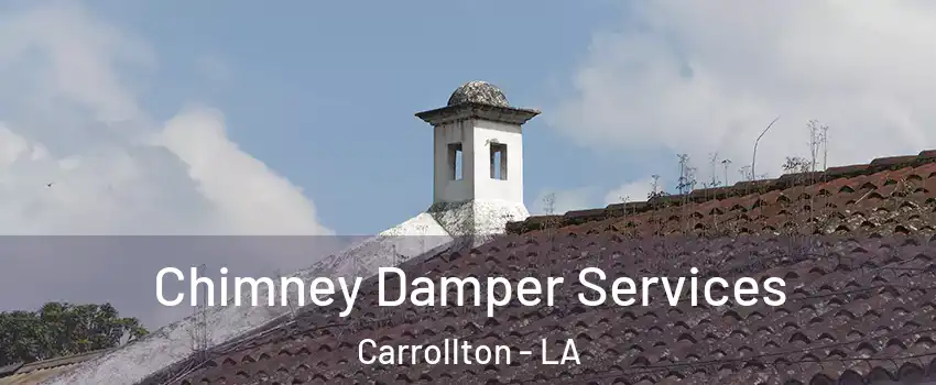 Chimney Damper Services Carrollton - LA