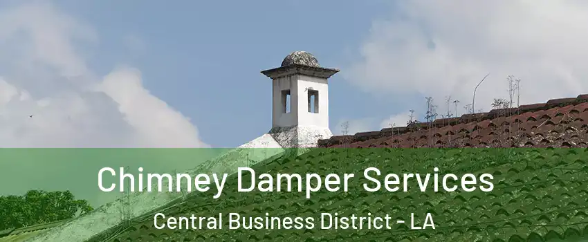 Chimney Damper Services Central Business District - LA