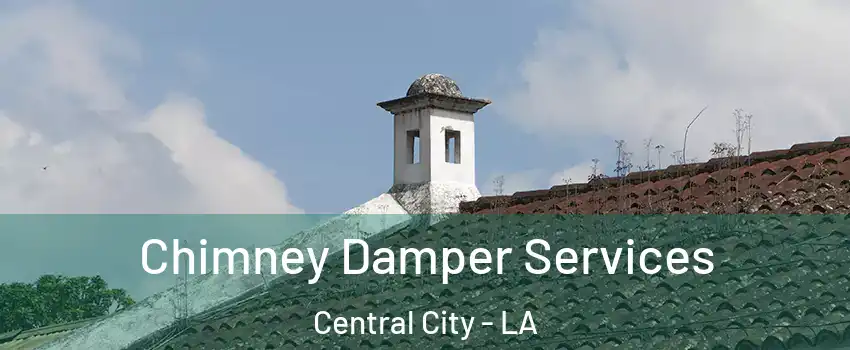 Chimney Damper Services Central City - LA