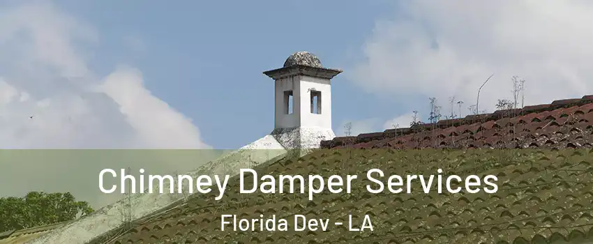 Chimney Damper Services Florida Dev - LA