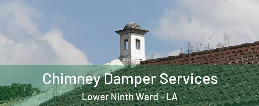 Chimney Damper Services Lower Ninth Ward - LA