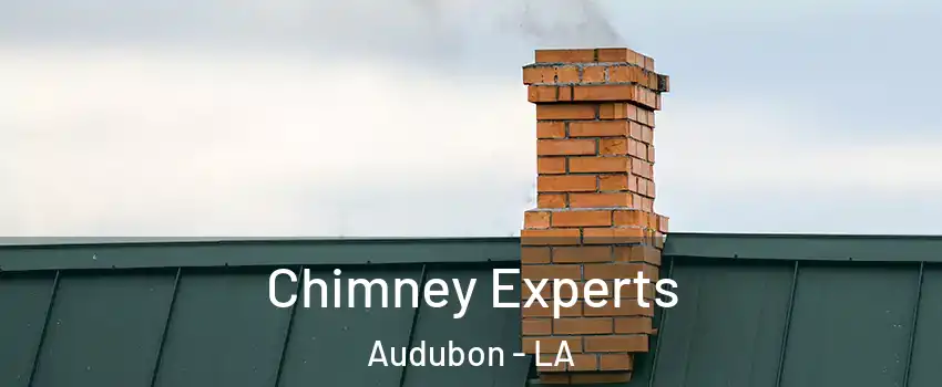 Chimney Experts Audubon - LA