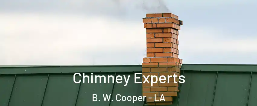 Chimney Experts B. W. Cooper - LA