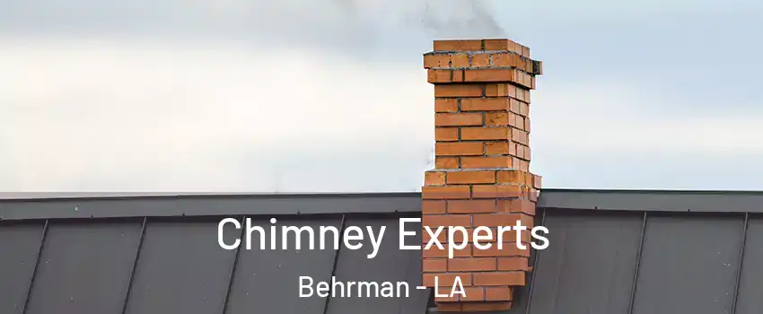 Chimney Experts Behrman - LA