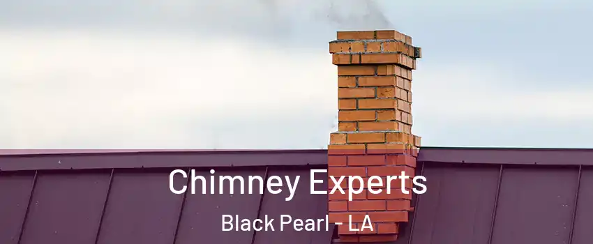 Chimney Experts Black Pearl - LA