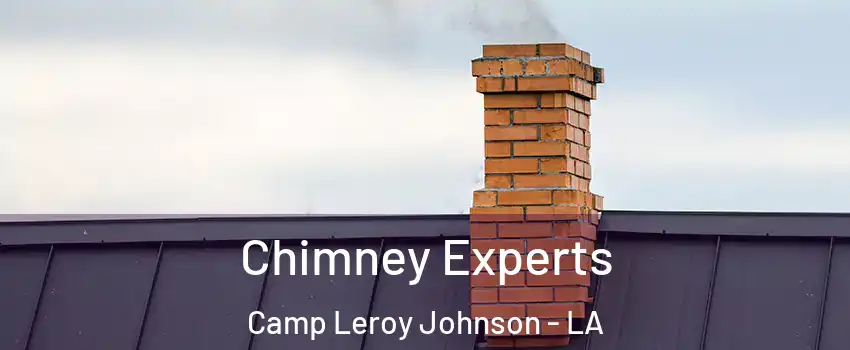 Chimney Experts Camp Leroy Johnson - LA