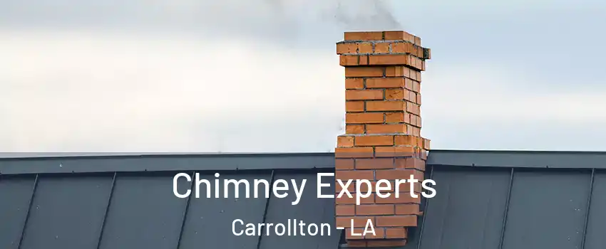 Chimney Experts Carrollton - LA