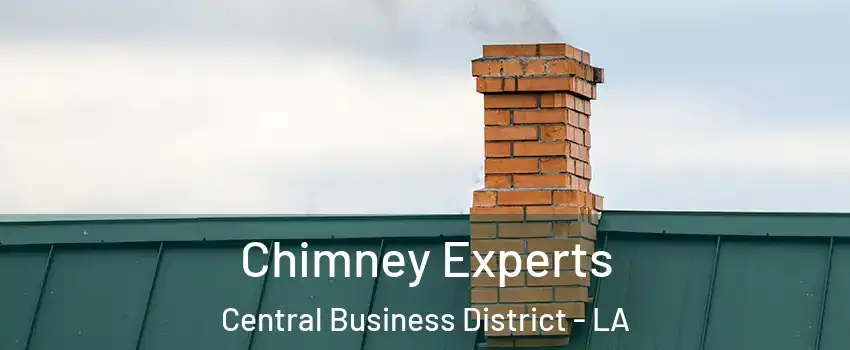 Chimney Experts Central Business District - LA