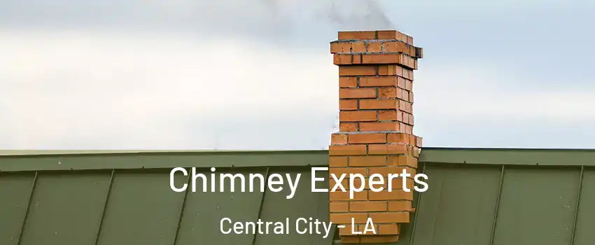 Chimney Experts Central City - LA