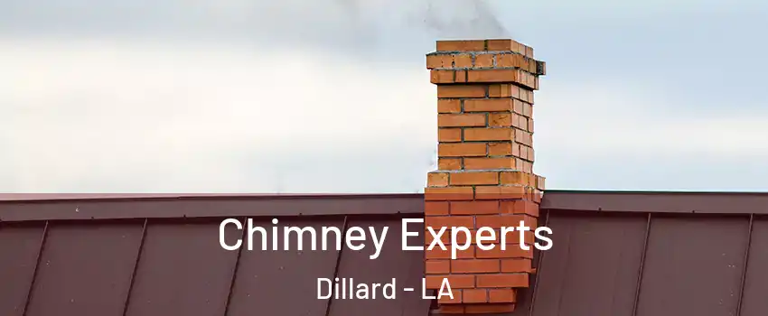 Chimney Experts Dillard - LA