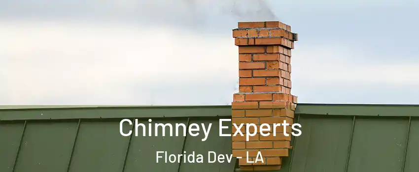 Chimney Experts Florida Dev - LA