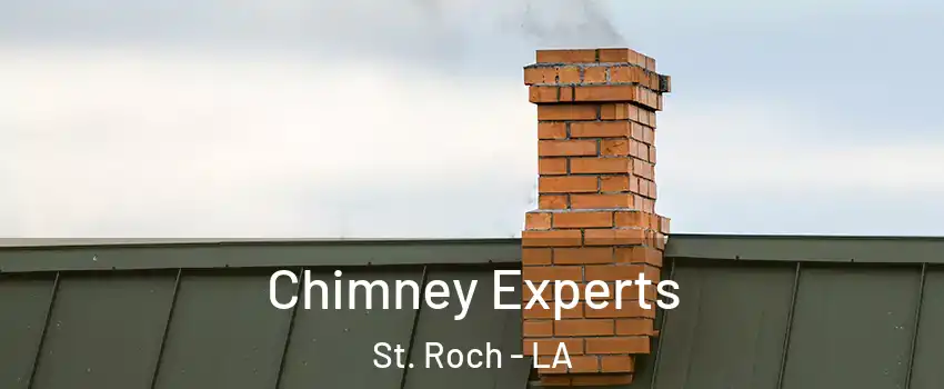 Chimney Experts St. Roch - LA