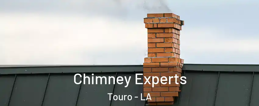 Chimney Experts Touro - LA