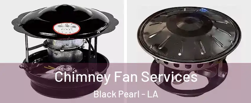 Chimney Fan Services Black Pearl - LA