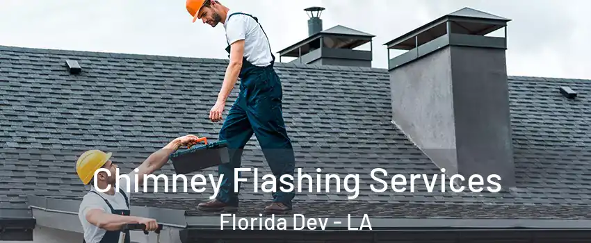 Chimney Flashing Services Florida Dev - LA