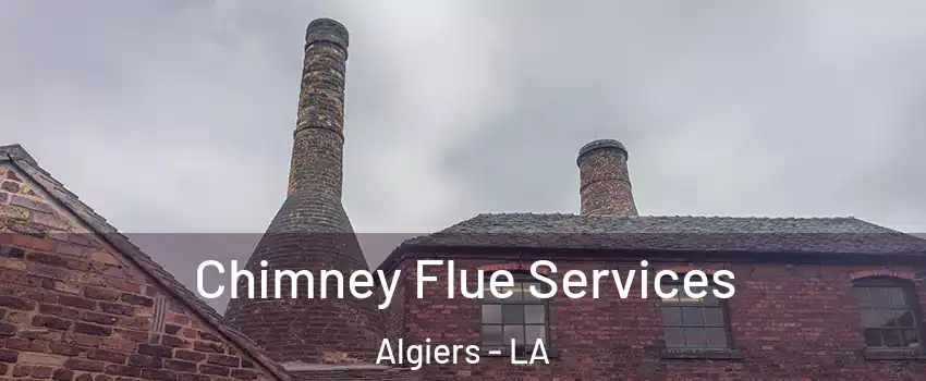 Chimney Flue Services Algiers - LA