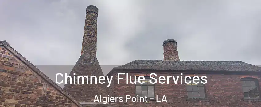 Chimney Flue Services Algiers Point - LA