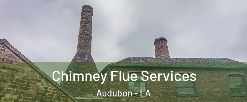 Chimney Flue Services Audubon - LA