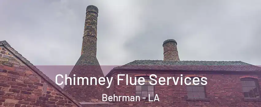 Chimney Flue Services Behrman - LA