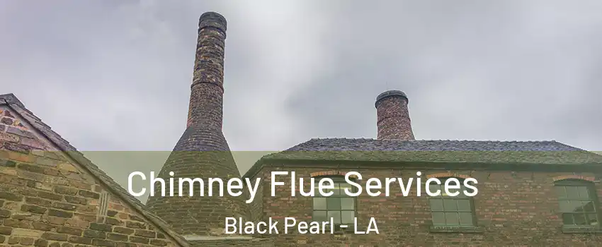 Chimney Flue Services Black Pearl - LA