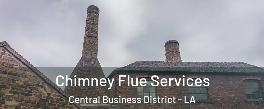 Chimney Flue Services Central Business District - LA