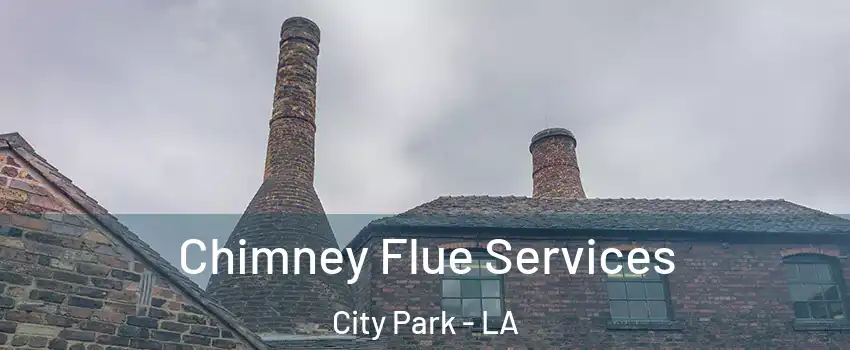 Chimney Flue Services City Park - LA