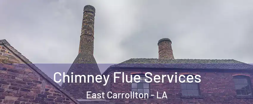 Chimney Flue Services East Carrollton - LA