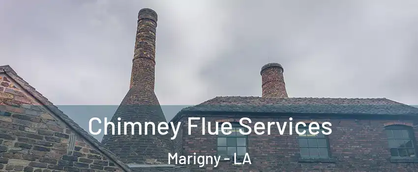 Chimney Flue Services Marigny - LA