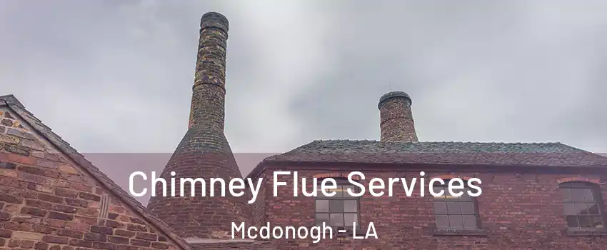 Chimney Flue Services Mcdonogh - LA