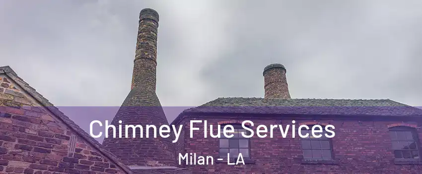 Chimney Flue Services Milan - LA