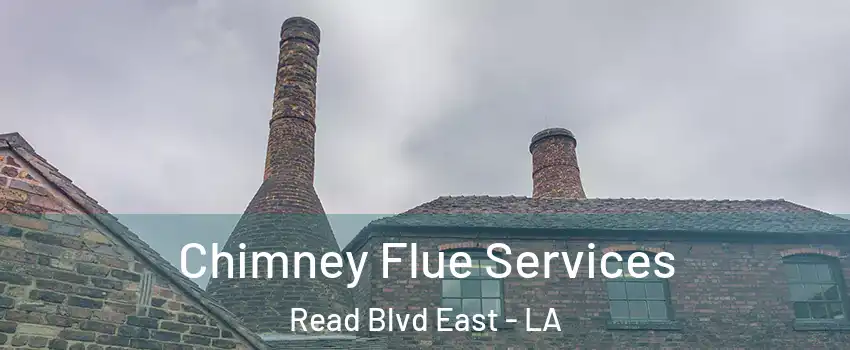 Chimney Flue Services Read Blvd East - LA