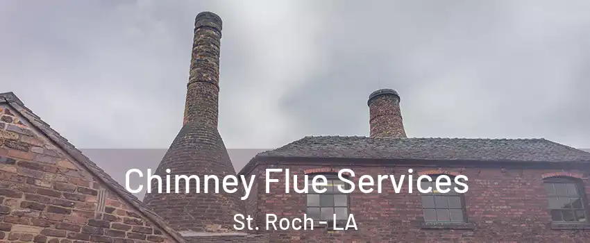 Chimney Flue Services St. Roch - LA